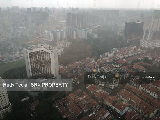 Duo Residences (D7), Apartment #173062132